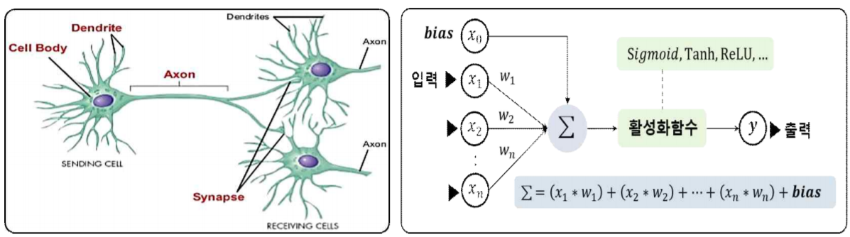 퍼셉트론