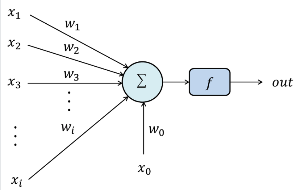 neuron